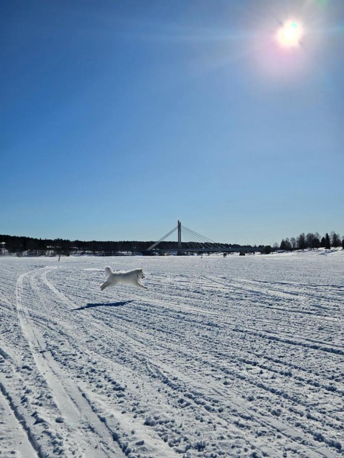 Make Yourself At Home Rovaniemi Luaran gambar
