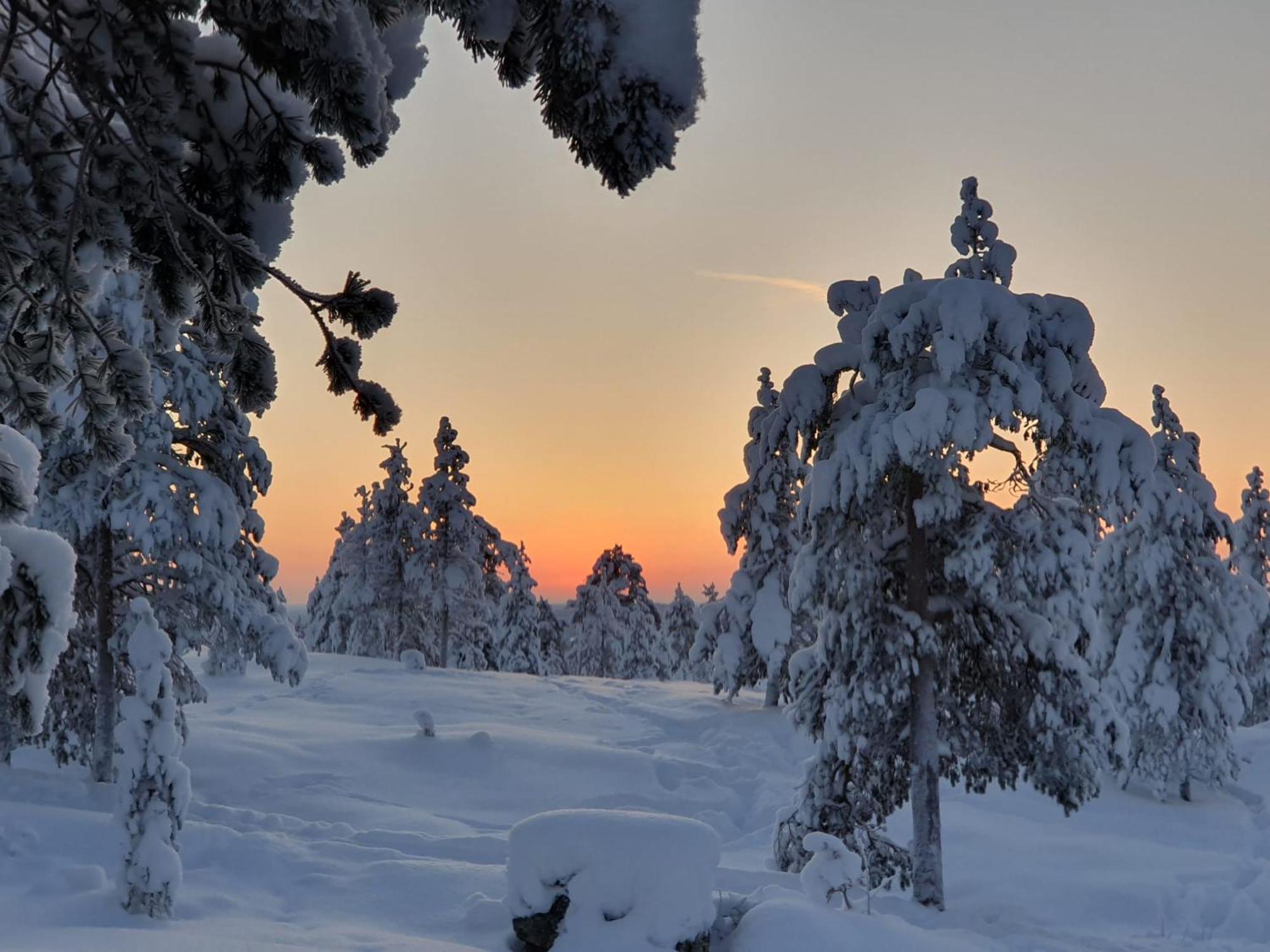 Make Yourself At Home Rovaniemi Luaran gambar