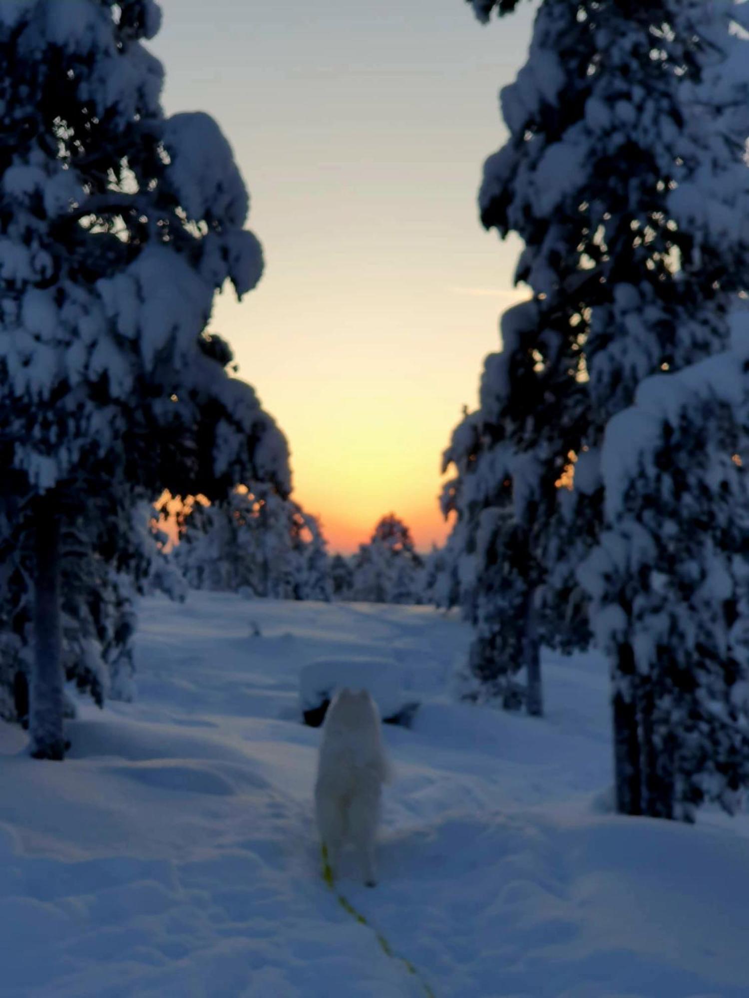 Make Yourself At Home Rovaniemi Luaran gambar